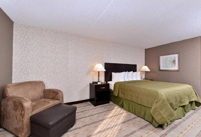 Стандартный Номер Кровать Кинг, Quality Inn & Suites Matteson Near I57