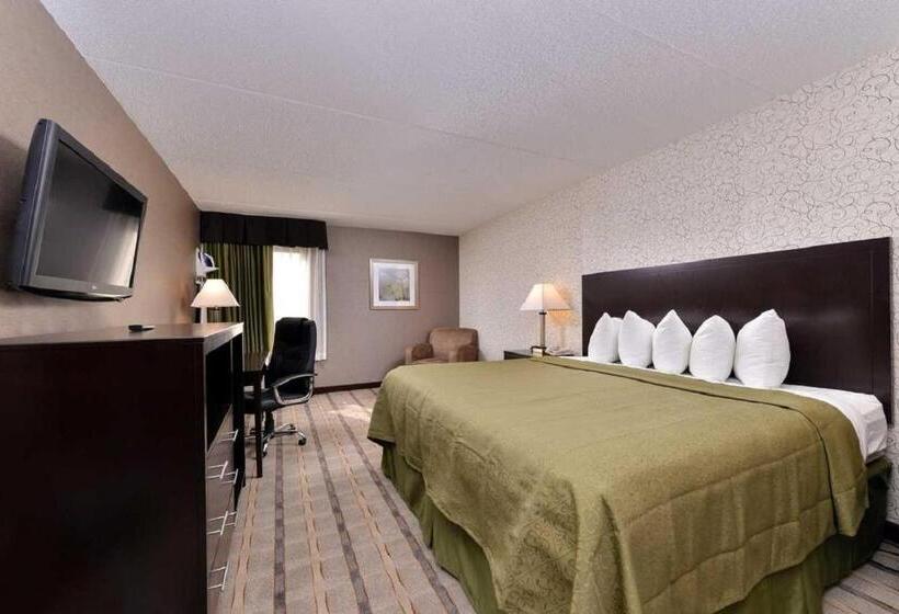 Стандартный Номер Кровать Кинг, Quality Inn & Suites Matteson Near I57