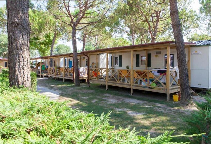 Casa 1 Quarto, Vela Blu Camping Village