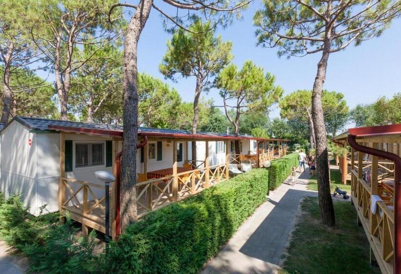 Casa 1 Quarto, Vela Blu Camping Village