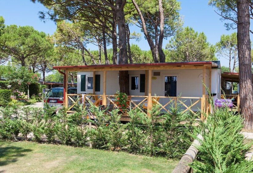 Casa 1 Quarto, Vela Blu Camping Village