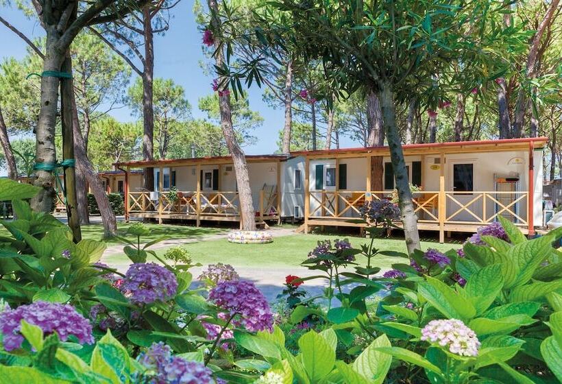 Vila Superior 1 Quarto, Vela Blu Camping Village