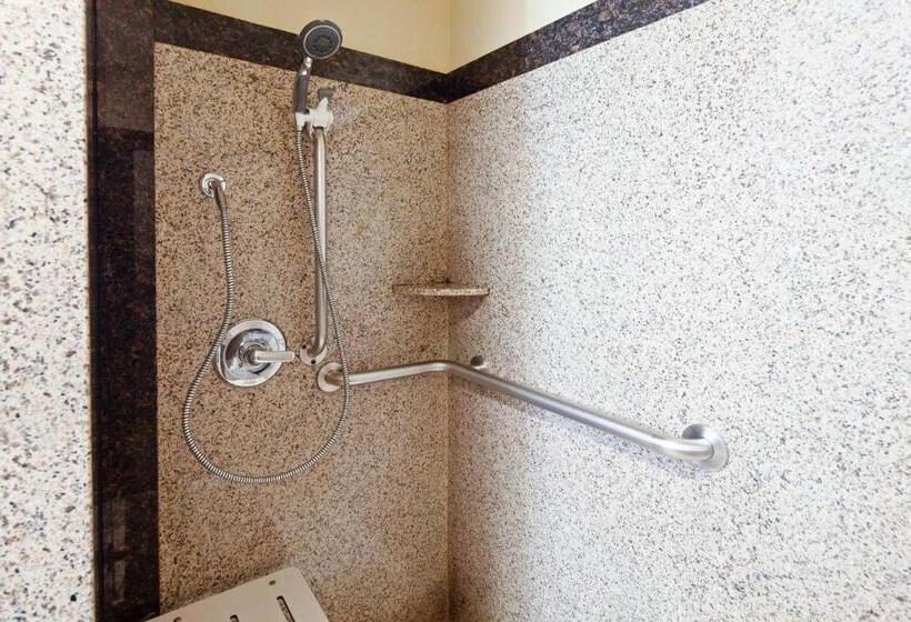 身障者適用スタンダードルーム, Vue