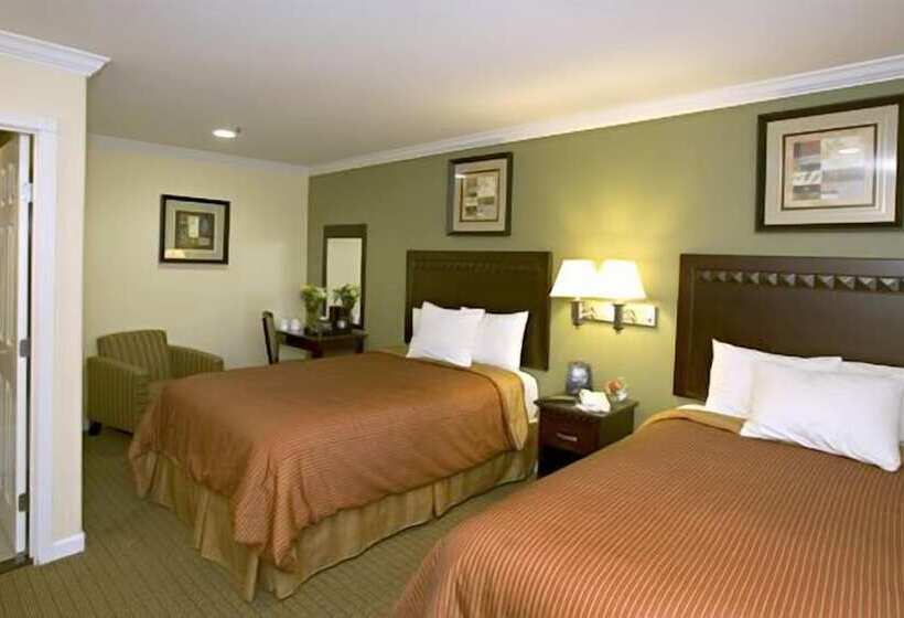 Номер Стандарт 2 Двуспальные Кровати, North Bay Inn