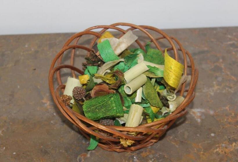 اتاق استاندارد, Ericeira Chill Hill Hostel & Private Rooms