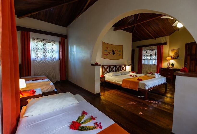 بانگلوی استاندارد, Corail Noir