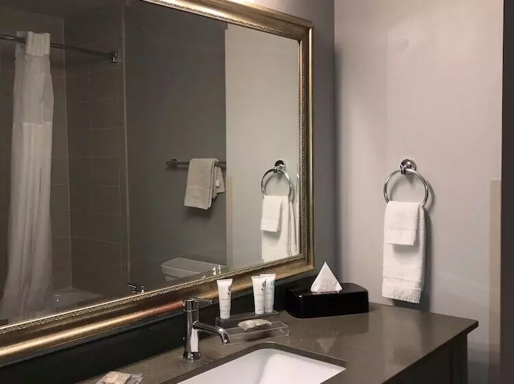 スイート, Country Inn & Suites By Radisson, Bemidji, Mn