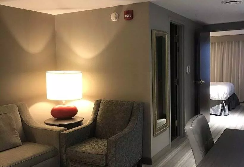 スイート, Country Inn & Suites By Radisson, Bemidji, Mn