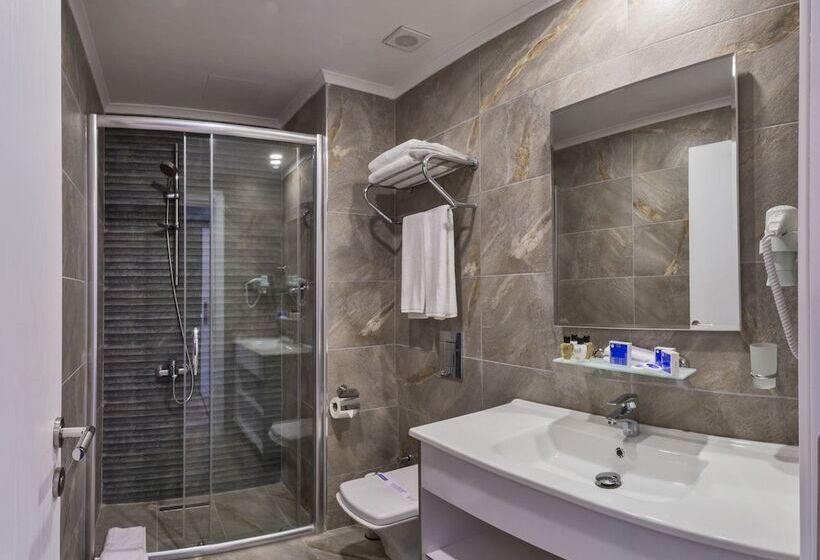 标准间, Inntel Hotel Istanbul