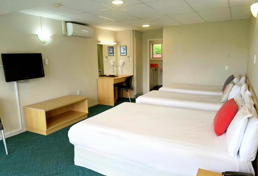 اتاق اکونومی, The Garden