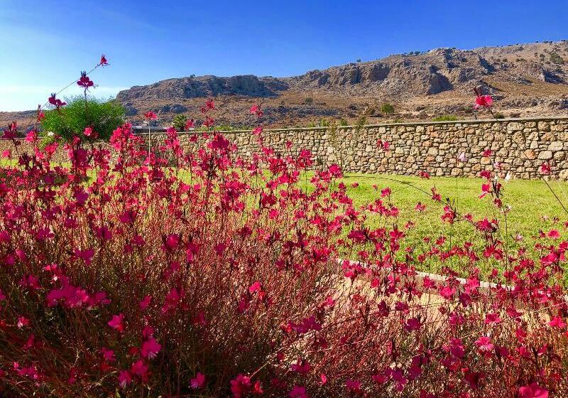 Вилла Superior 1 Спальня, Estrella Villas