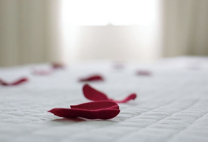 デラックスルーム, Contagem Centro