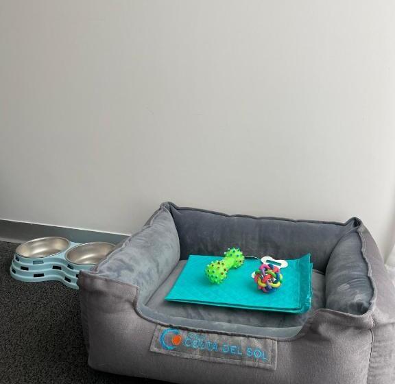 غرفة سوبيريور, Costa Del Sol Wyndham Lima City