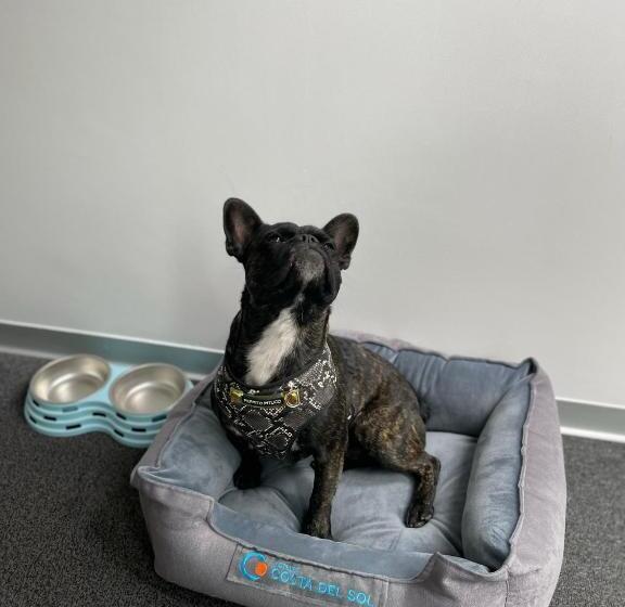 غرفة سوبيريور, Costa Del Sol Wyndham Lima City