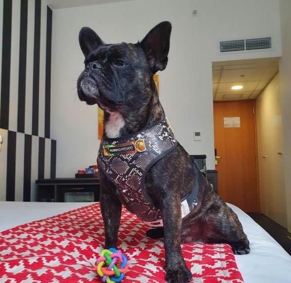 غرفة سوبيريور, Costa Del Sol Wyndham Lima City