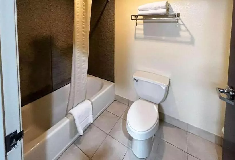 キングサイズベッドのスタンダードルーム, Executive Inn & Suites Breaux Bridge, La