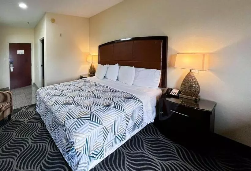 キングサイズベッドのスタンダードルーム, Executive Inn & Suites Breaux Bridge, La