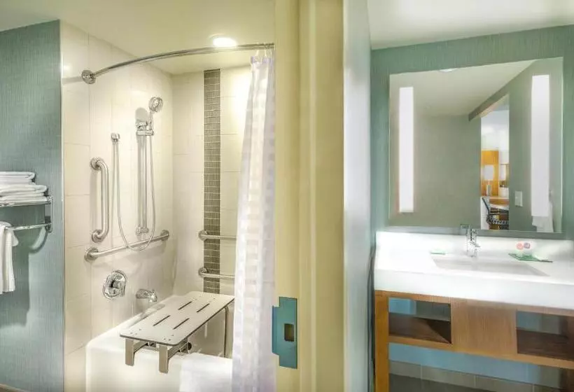 身障者適用キングサイズベッドルーム, Hyatt Place Washington D.c./national Mall