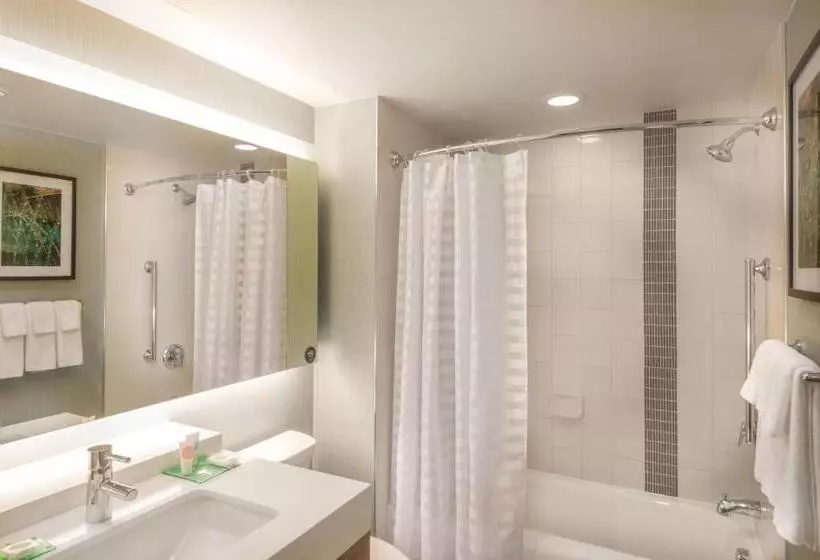 キングサイズベッドのスイートルーム, Hyatt Place Washington D.c./national Mall
