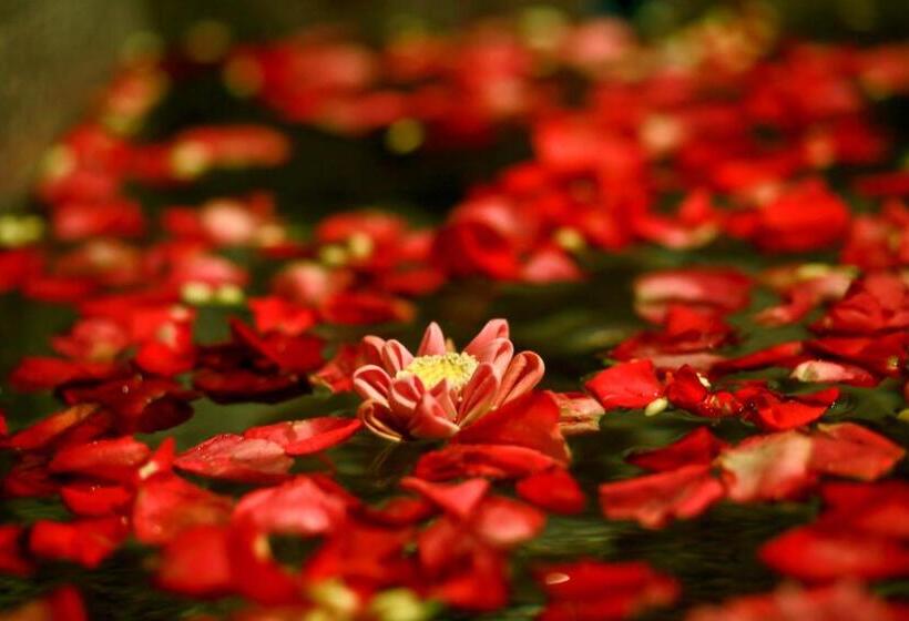 اتاق خانوادگی تودرتو, Khmer Mansion Boutique