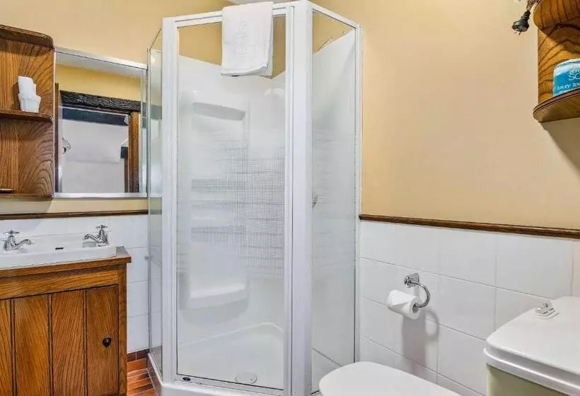 اتاق استاندارد یک نفره, The Honest Lawyer, Ascend Hotel Collection