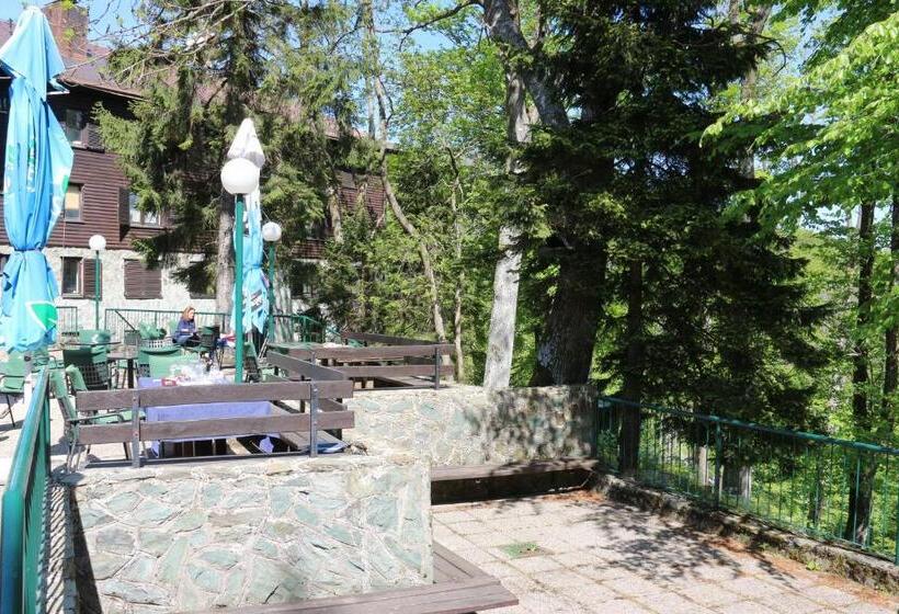 غرفة قياسية, Tomislavov Dom