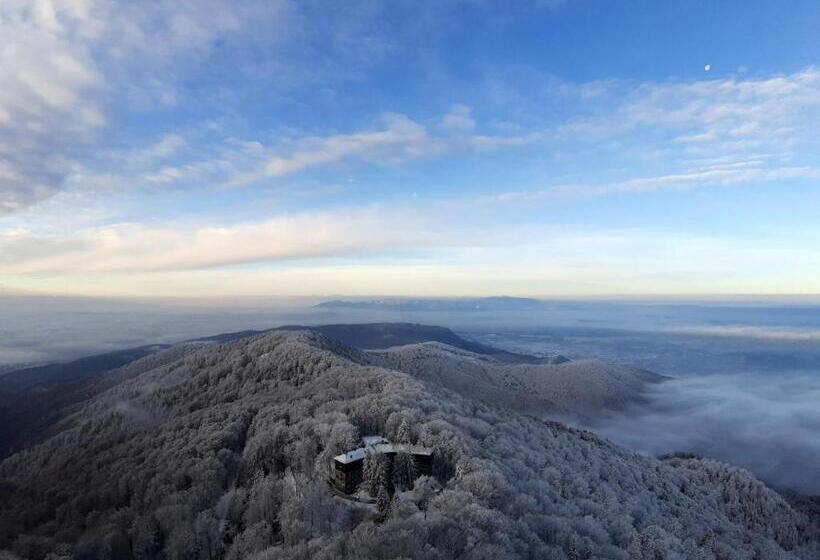 غرفة كومفورت, Tomislavov Dom