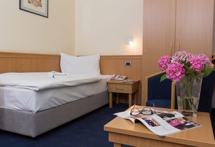 غرفة قياسية فردية, Tomislavov Dom