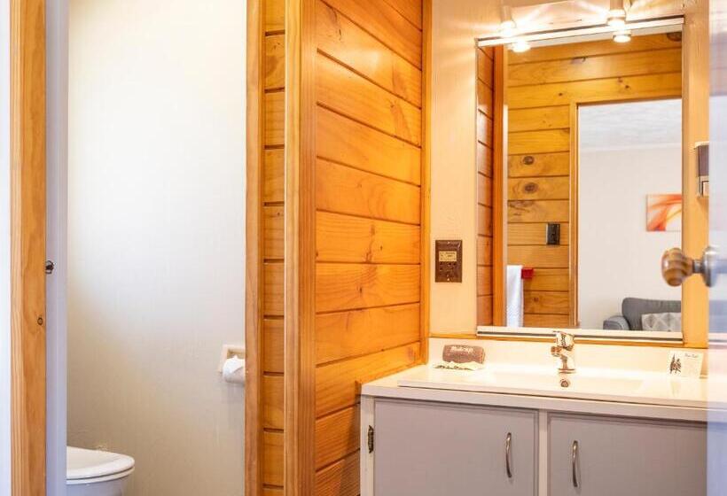 استودیو استاندارد با تخت کینگ, Tudor Park Motel