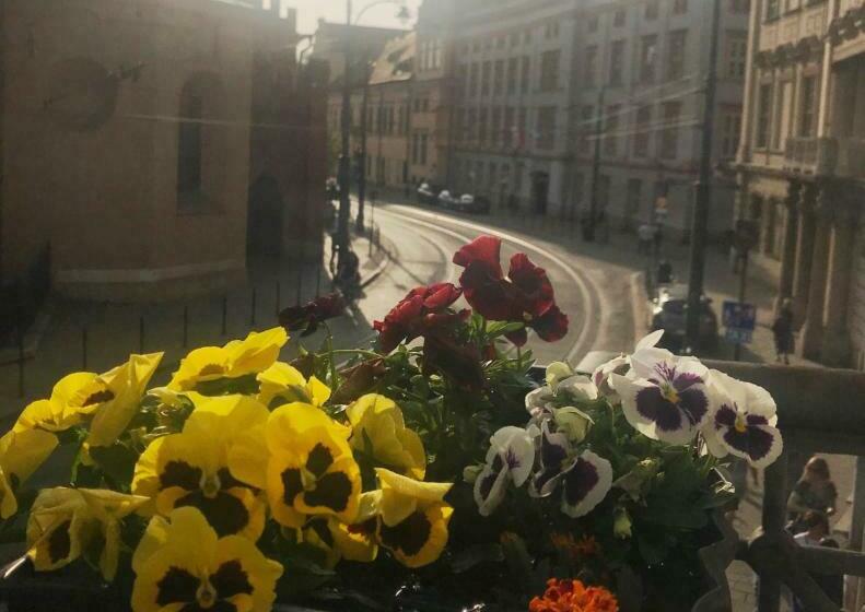 חדר סטנדרט עם מרפסת, Krakow Apartments & Rooms