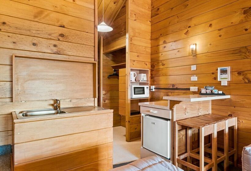 带大床的标准工作室, Aspiring Lodge Motel