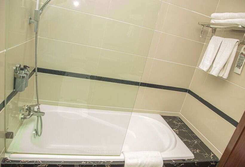 带城市景观的标准间, Best Western Plus Paramount