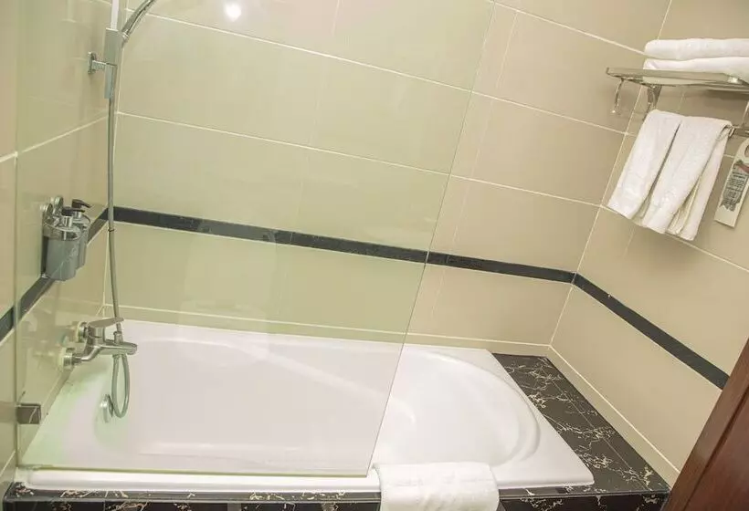 اتاق استاندارد با چشم‌انداز شهر, Best Western Plus Paramount