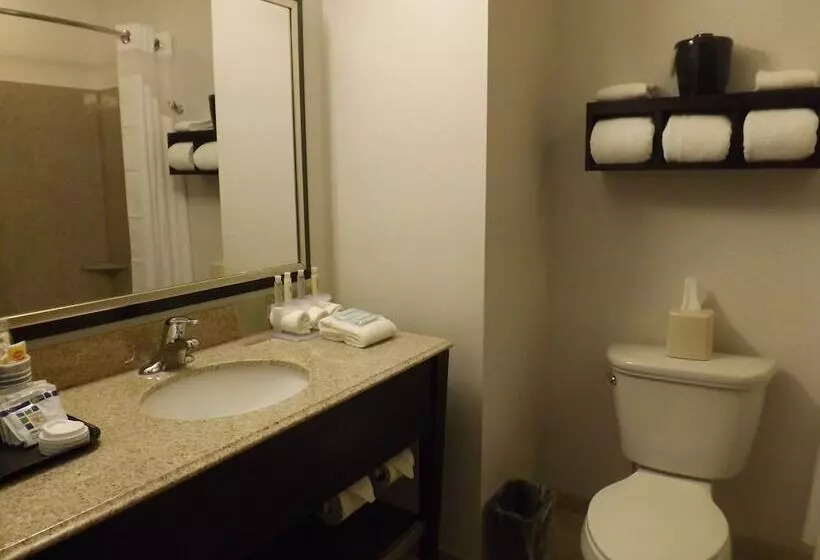２ダブルベッドのスタンダードルーム, Holiday Inn Express Pittsburgh   Munhall, An Ihg
