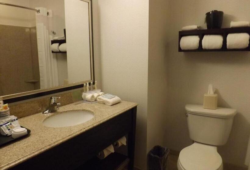 스탠다드 룸 더블 침대 2개, Holiday Inn Express Pittsburgh   Munhall, An Ihg