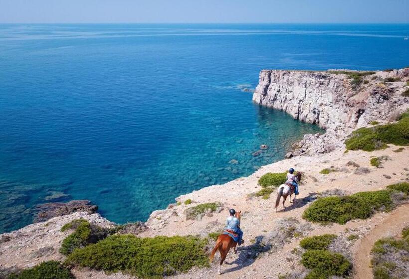 جناح مطلّ علي البحر, Lu  Hotel Maladroxia
