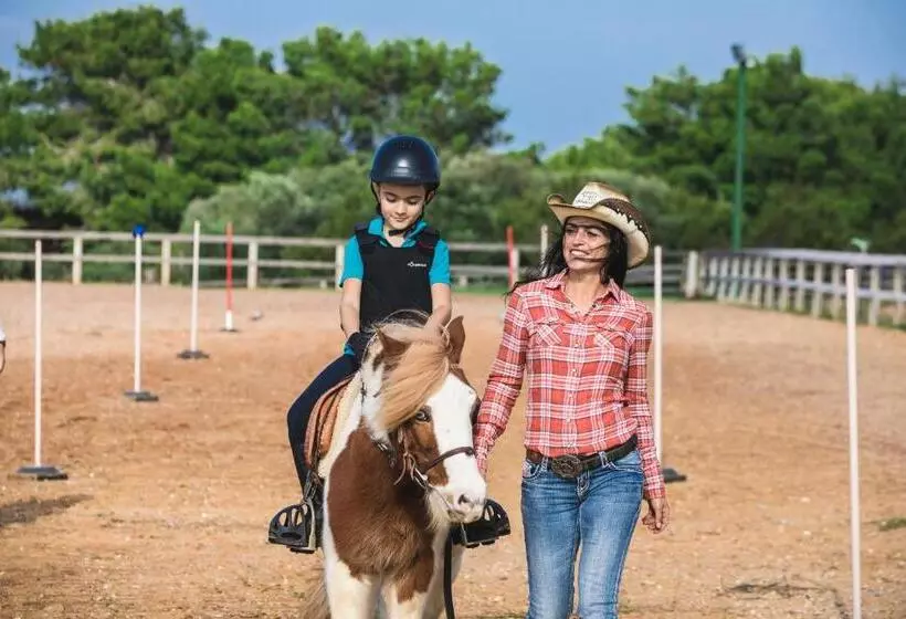 اتاق راحتی, Lu  Hotel Maladroxia
