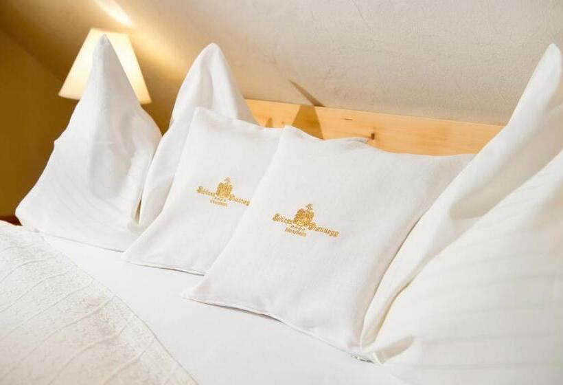 غرفة قياسية فردية, Schloss Thannegg