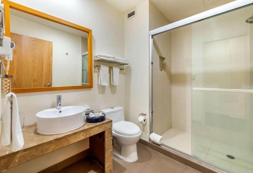 스탠다드 룸, Greenwood Hotel Torreón