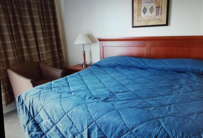 غرفة قياسية, Star Inn By Elevate Rooms