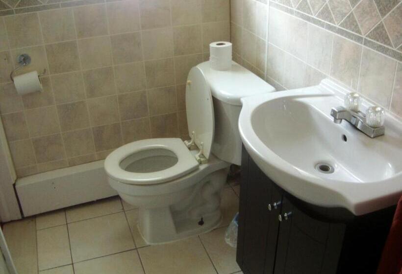 غرفة قياسية, Star Inn By Elevate Rooms