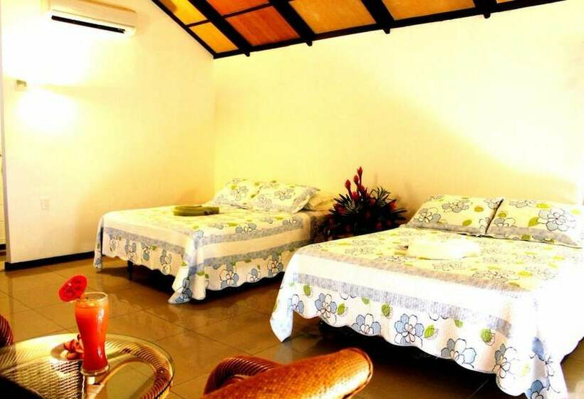 اتاق استاندارد یک نفره, Orator Hotel Samoa