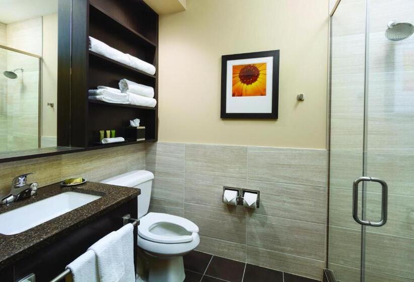 스탠다드 룸 킹사이즈 침대, Aerostay