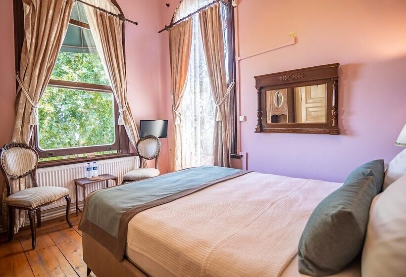 可观海景的舒适型房间, Büyükada Anastasia Meziki History Mansion