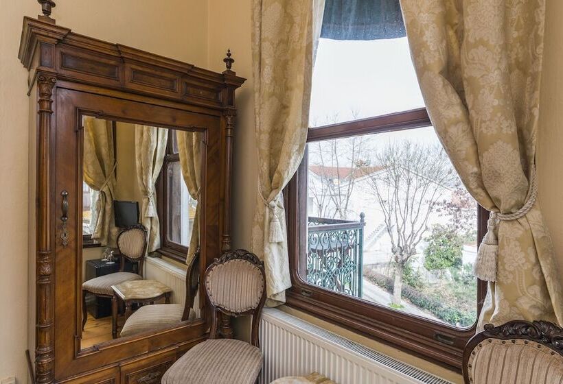 可观海景的舒适型房间, Büyükada Anastasia Meziki History Mansion