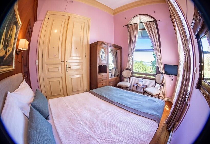 可观海景的舒适型房间, Büyükada Anastasia Meziki History Mansion