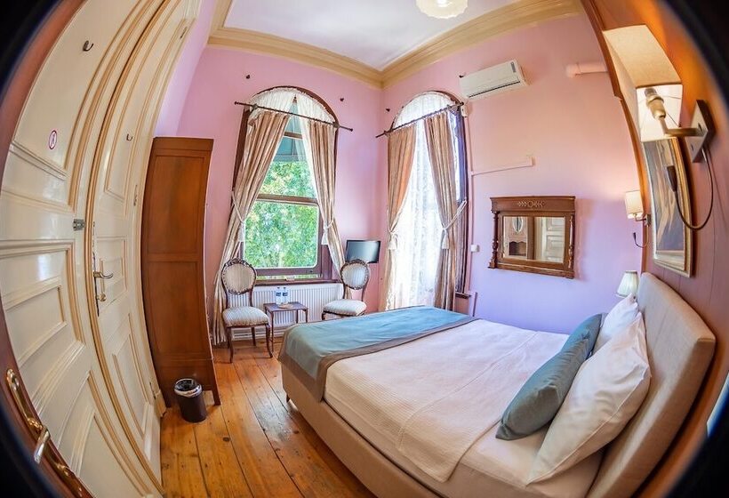 可观海景的舒适型房间, Büyükada Anastasia Meziki History Mansion