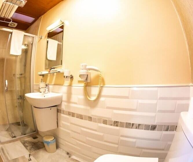 可观海景的舒适型房间, Büyükada Anastasia Meziki History Mansion