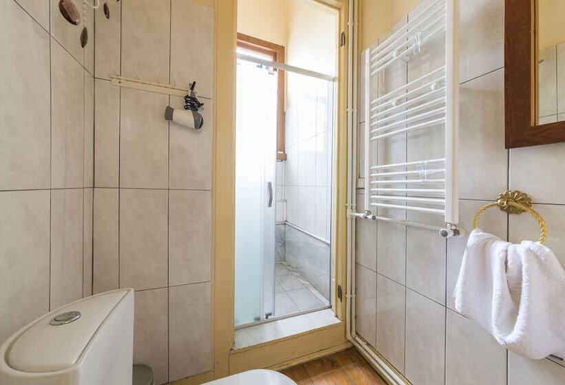 豪华园景房, Büyükada Anastasia Meziki History Mansion