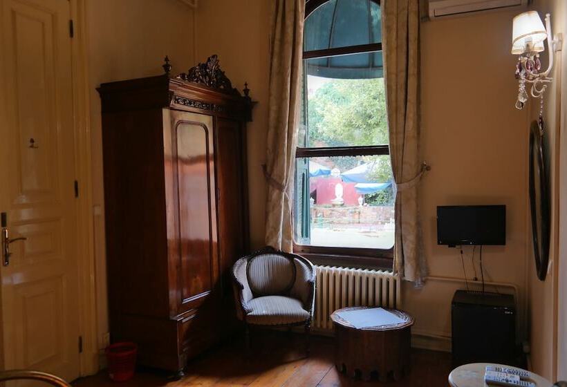 豪华园景房, Büyükada Anastasia Meziki History Mansion